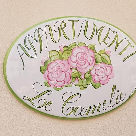 Le Camelie -Appartamenti Nuovi 포르토 산텔피디오 외부 사진