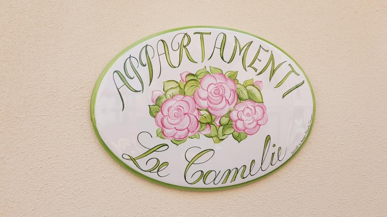 Le Camelie -Appartamenti Nuovi 포르토 산텔피디오 외부 사진